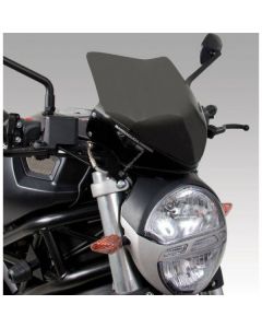 Barracuda Windscherm Ducati Monster 696 / 796